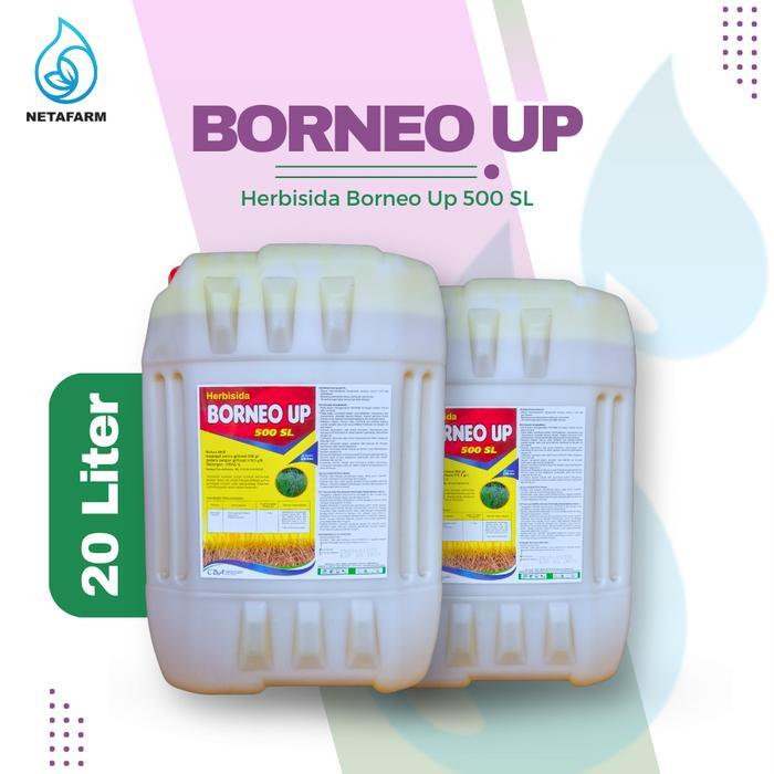 HERBISIDA BORNEO UP 500 SL PEMBASMI ANEKA GULMA - 20 LITER