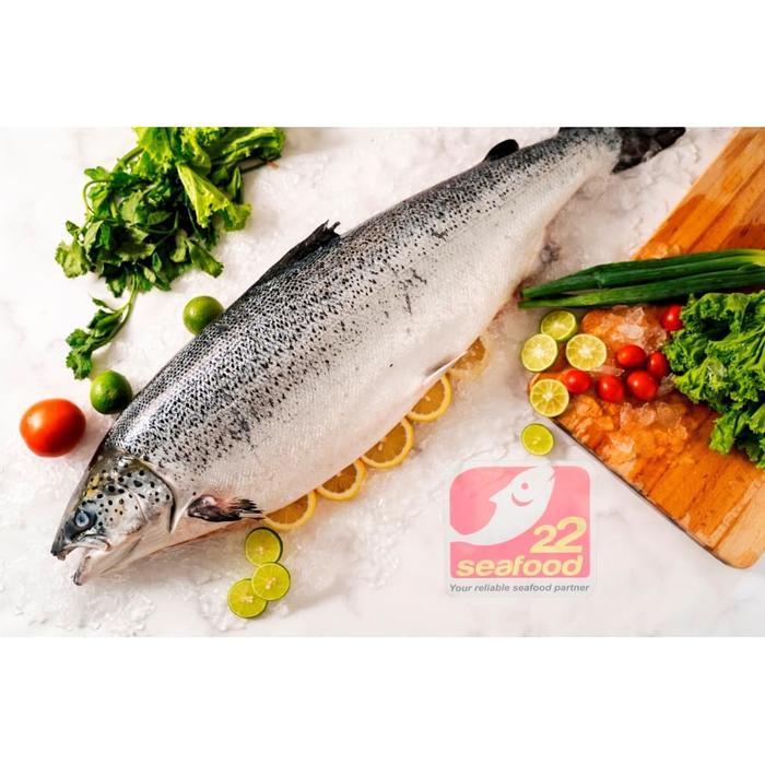 Ikan Salmon / Salmon Utuh / Ikan Utuh / Ikan Laut / Seafood 22