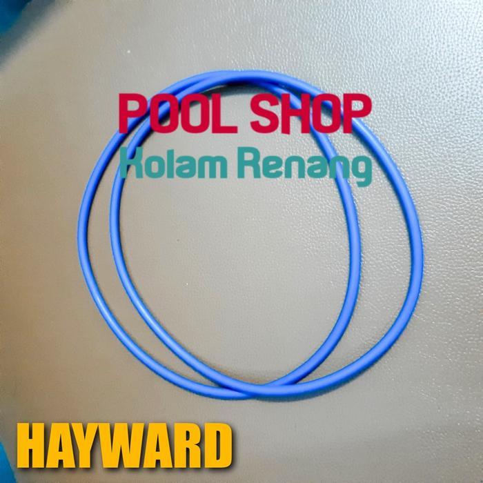 Seal Leher Filter Hayward / Oring Tank Hayward