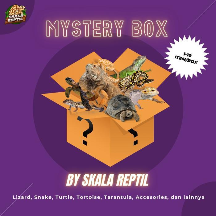 MYSTERY BOX REPTILE / MISTERI BOX REPTIL