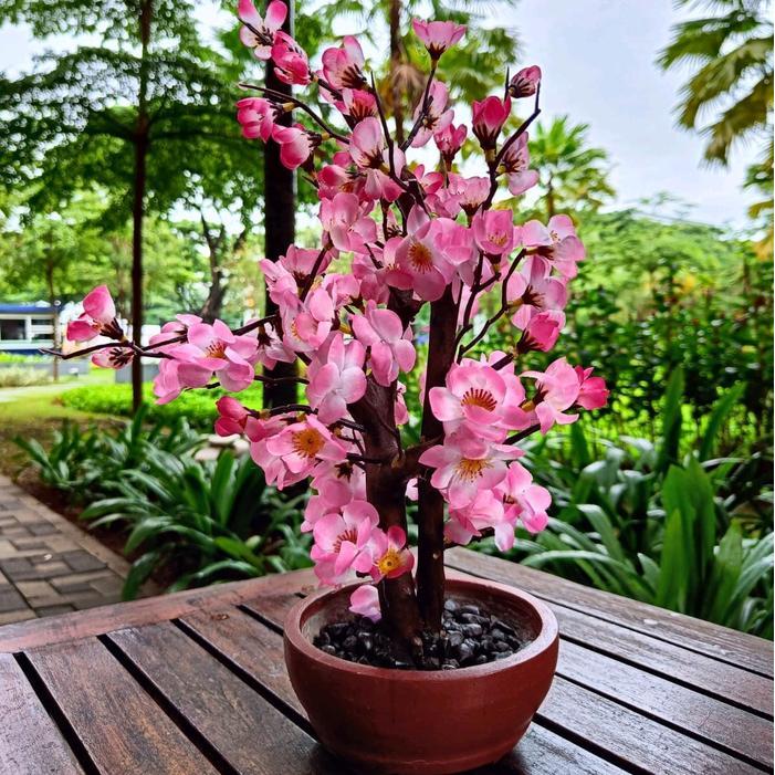pohon sakura pohon Imlek bunga imlek gong xi bunga meihua tahun baru cina pohon meihua angpao