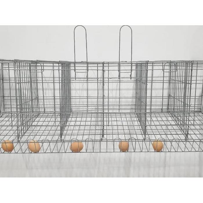 kandang galvanis ayam petelur 6 Ayam 6 pintu murah