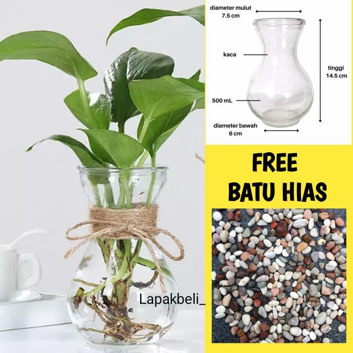 FREE BATU HIAS / VAS BUNGA KACA /VAS BUNGA BALOON / VAS BUNGA BULAT