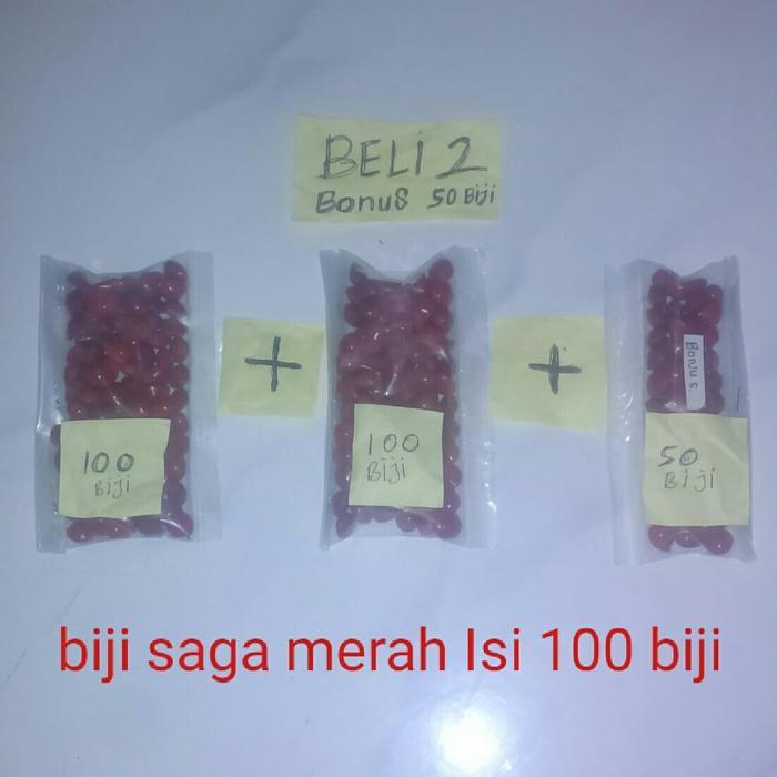 "New" biji saga merah atau biji saga pohon