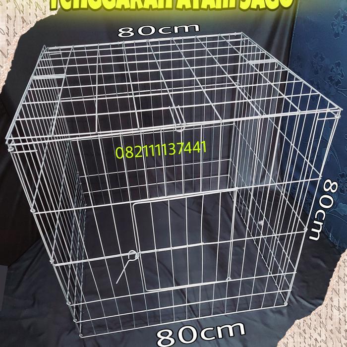 kandang tenggaran ayam Jago bahan Galvanis