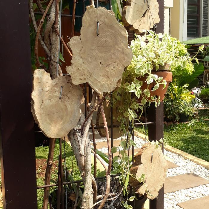 Media Kayu Kopi Untuk Anggrek