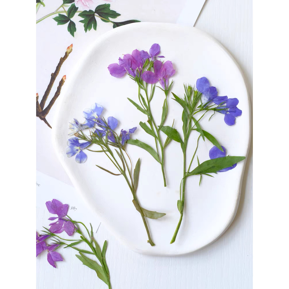 60pcs Pressed Dried Lobelia erinus Thunb Flower Resin Epoxy Jewelry Card Bookmark Frame Phone Case