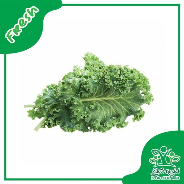 Kale Curly Organik - Sayur Kendal