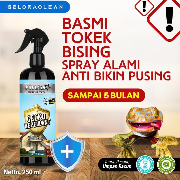 RACUN TOKEK SEMPROT Sekali semprot tokek tewas racun pembasmi cicak tokek racun spray Gecko