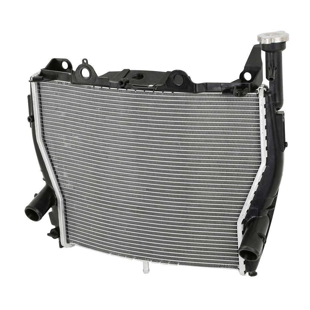 RADIATOR COOLER COOLING FIT FOR BMW S1000RR 2009-2018 HP4 RACE 2018 MOTORCYCLE WATER TANK SYSTEM