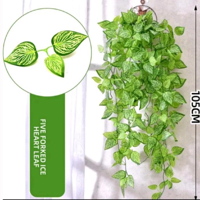 "New" Juntai 5 Cabang Panjang 1 Meter Tanpa Pot