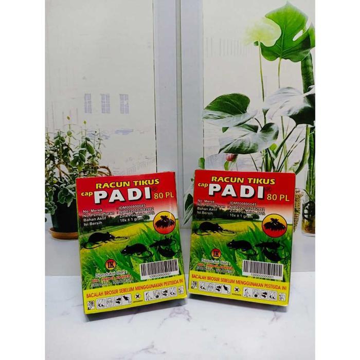 "New" Racun Tikus Cap Padi Sangat Ampuh Mati Seketika