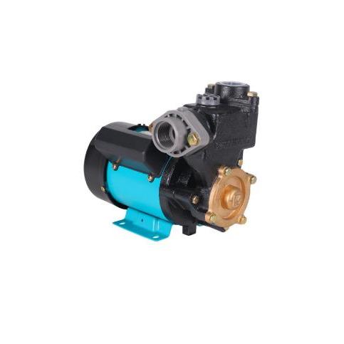 Wasser Pump / Shallow Pump / Pompa Air Pw-131E / Pw 131E