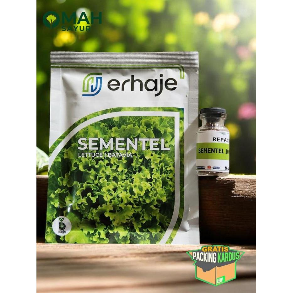[REPACK-100 Pills] Benih Selada Bejo SEMENTEL Benih Lettuce Batavia By Bejo Seeds Hijau Daun