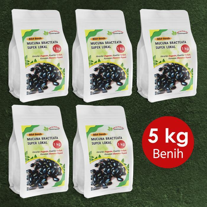 Najwa Gadget 5 Kg Bibit Mucuna/Benih Mucuna Bracteata Super Lokal Lcc Mb Lokal