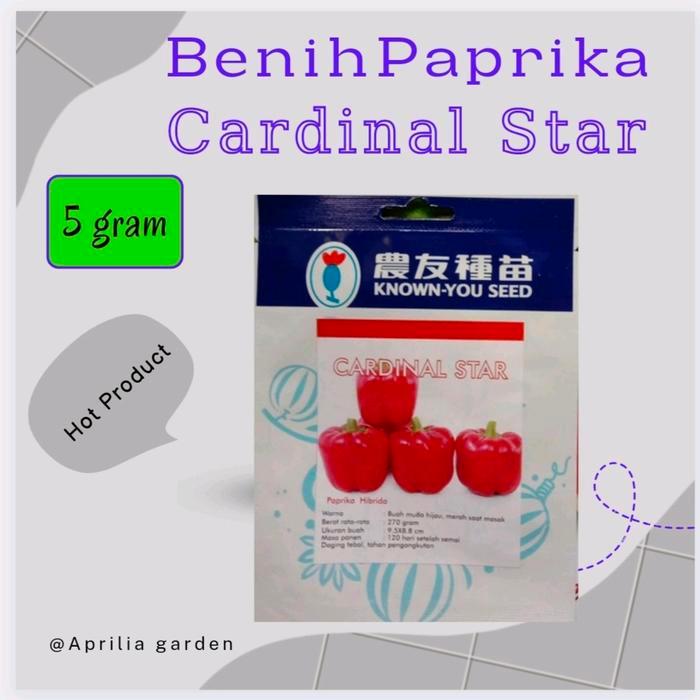 Benih Bibit Paprika Merah Cardinal Star 5gr Original Known You Seed