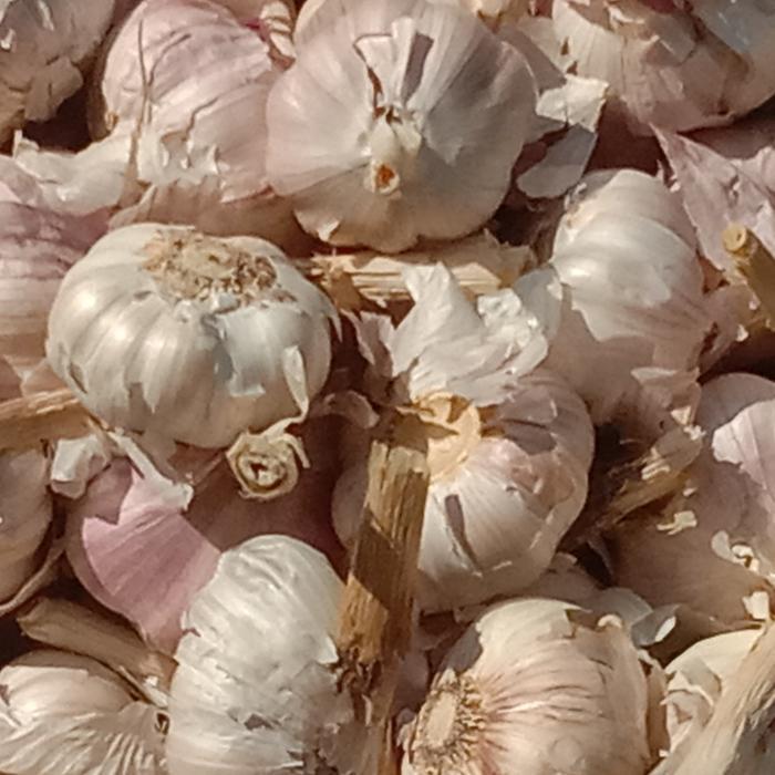 BAWANG PUTIH HONAN KOTOR 1KG