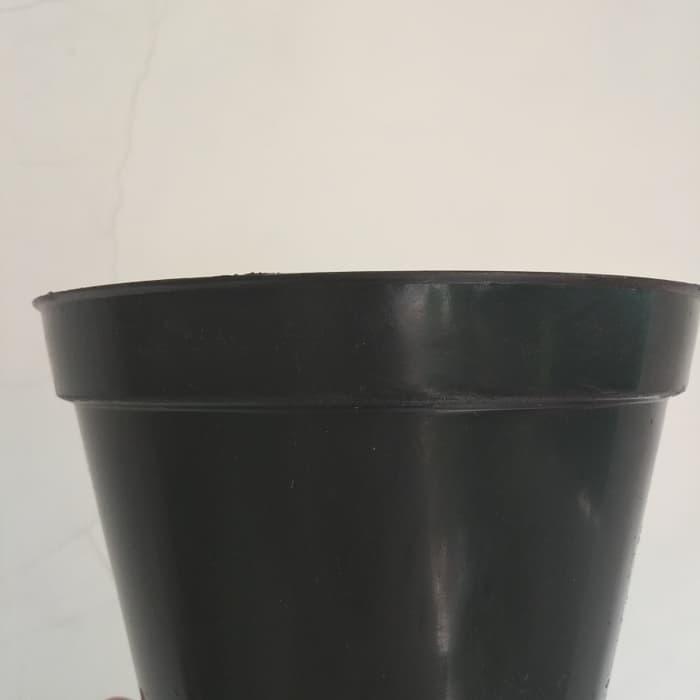 Pot hitam ukuran 30 cm