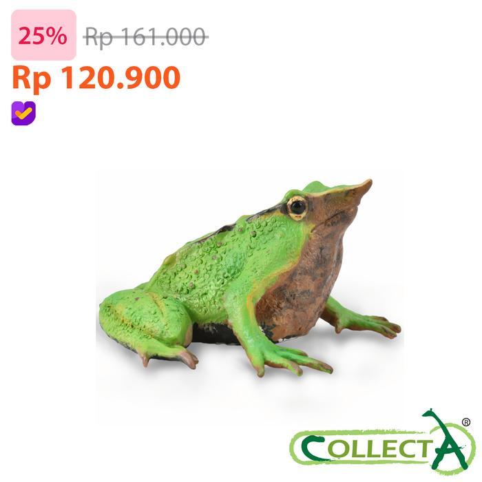 CollectA 88938 - Darwin's Frog - Animal Figure
