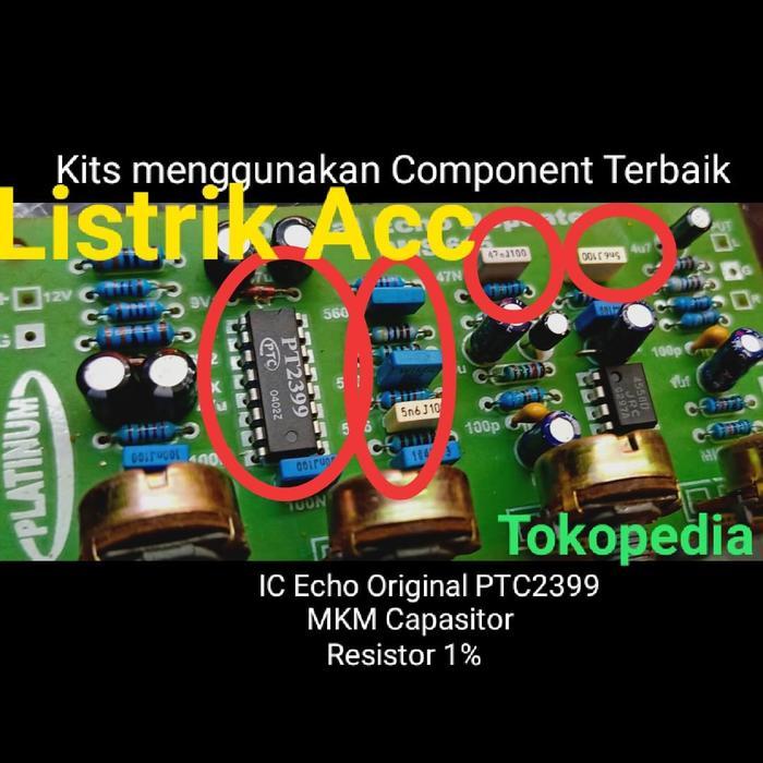 Digital Echo Repeater / Echo Karaoke Digital 2 Mic / Digital Echo Mic