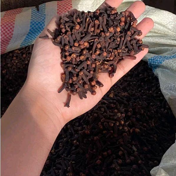 Diskon Cengkeh Manado Murni Kualitas Super Rajang Kasar 1Kg Bubuk Spices Pedas Penyedap Terjamin