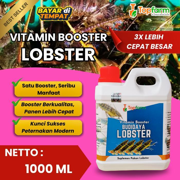VITAMIN LOBSTER CEPAT BESAR/ VITAMIN BUDIDAYA LOBSTER/ VITAMIN PENAMBAH NAFSU MAKAN LOBSTER /