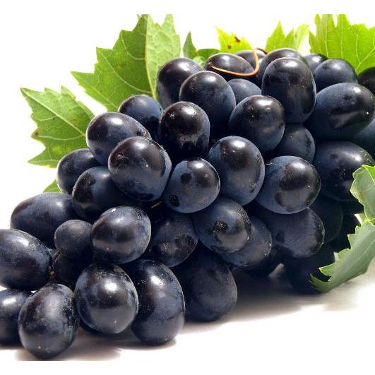 Fragrance Oil Grape 20 ml