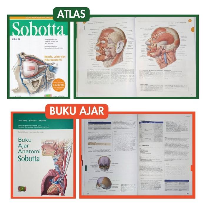 Paket Sobotta Atlas Anatomi + Buku Ajar Anatomi Free Sampul Terlaris