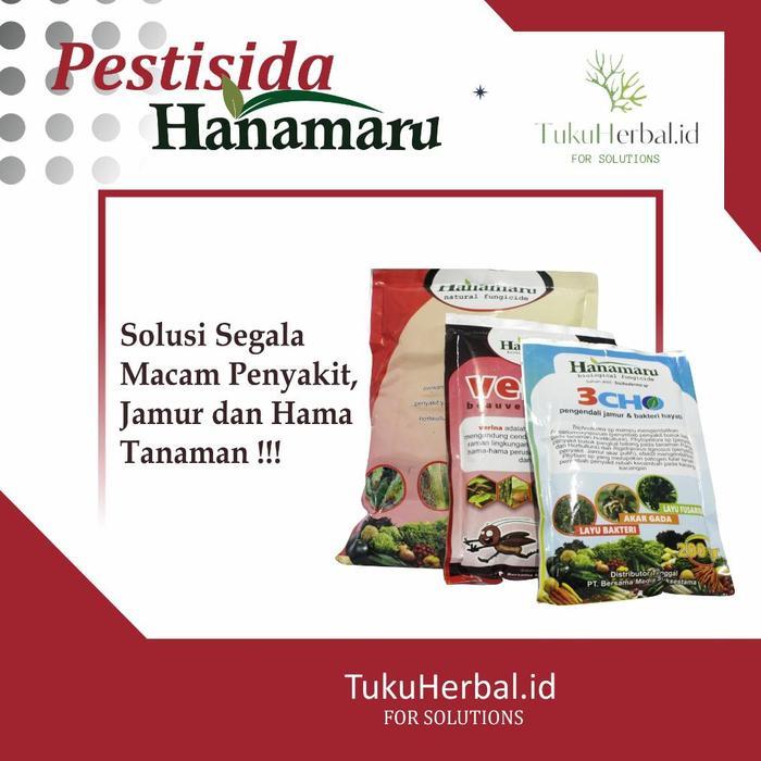 PESTISIDA HANAMARU COOPER FUNGISIDA UNTUK MENGATASI PENYAKIT PADA
