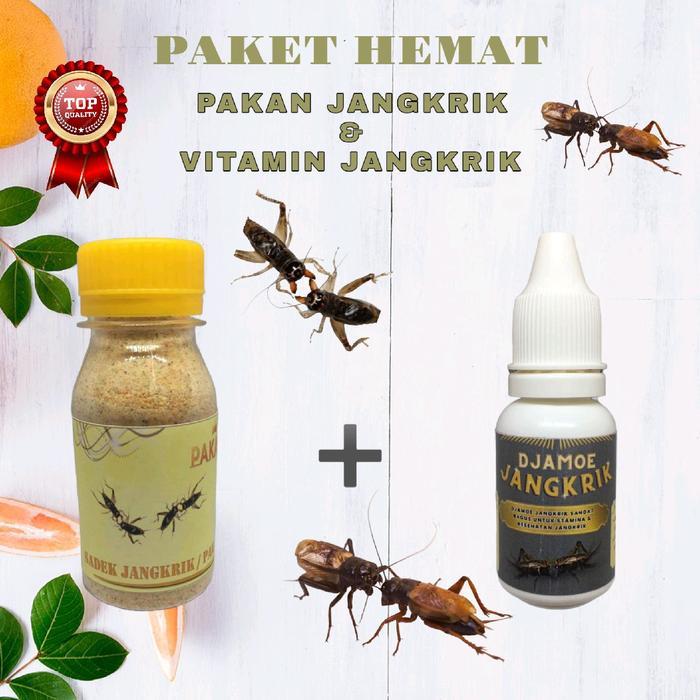 Pakan Jangkrik Aduan Dan Vitamin Jangkrik Fighter Menjadikan Jangkrik Garang Dan Kuat
