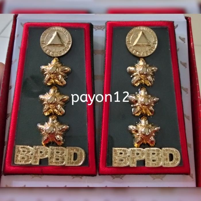 pangkat BPBD gol 4b bunga 3