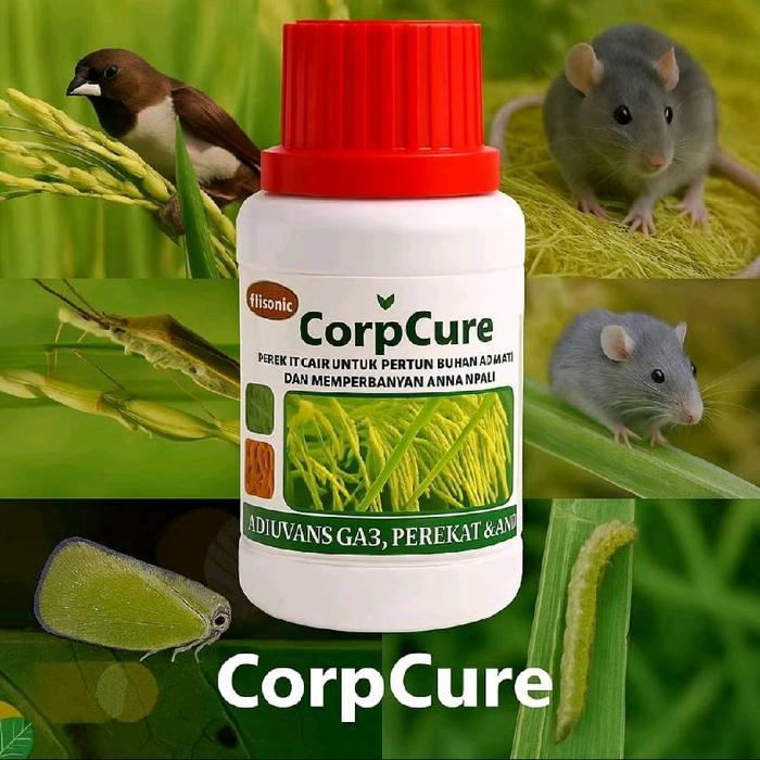 "New" CORPCURE OBAT HAMA AMPUH 100% UNTUK ATASI HAMA PADI DAN MELEBATKAN BUAH PADI MENGANDUNG ZPT