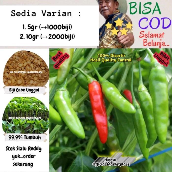 Benih/Bibit Cabe Rawit Hijau Lokal 5gr & 10gr isi (-+1000 & -+2.000) biji/butir Berkualitas Cabai