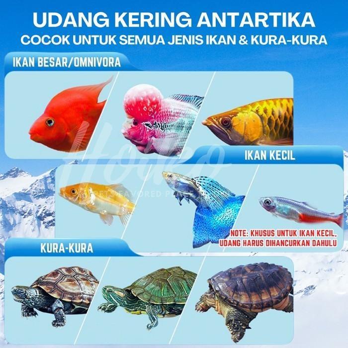 UDANG KERING PREMIUM PAKAN IKAN / PAKAN KURA KURA / PAKAN ARWANA