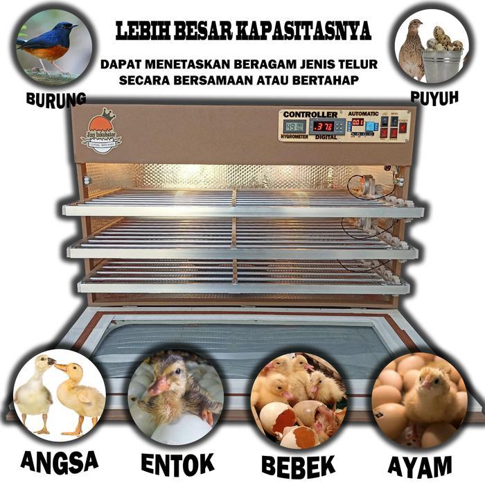 Mesin penetas telur full otomatis kapasitas 300 butir