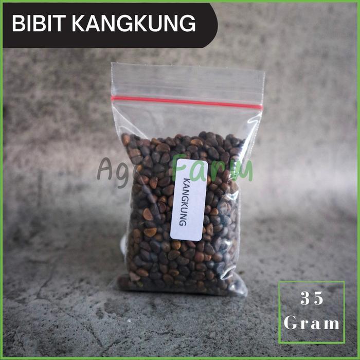 Benih Bibit Kangkung hidroponik - traditional