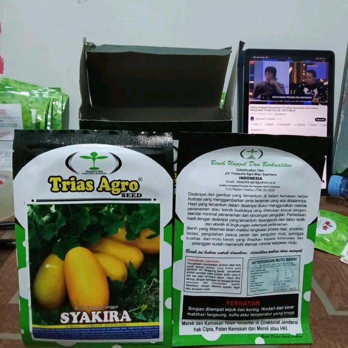 Najwa Gadget Benih Buah Timun Suri Jumbo Bangkok Syakira F1 (Tahan Virus, Tahan Penyakit Dan