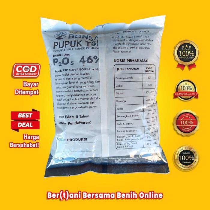 Najwa Gadget Pupuk Tsp Bonsai Pupuk Triple Super Phospate 1 Kg - Super Bonsai