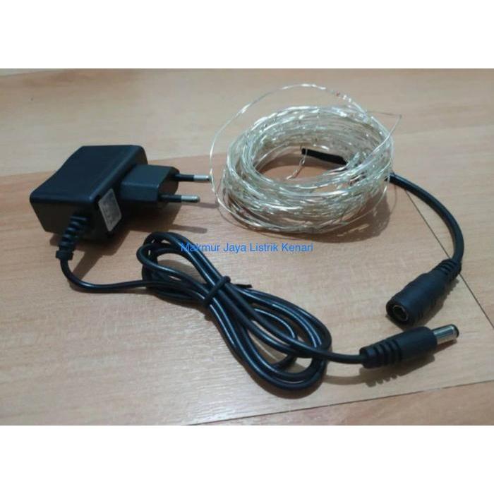 LAMPU LED TUMBLR DEKORASI KAWAT 10M 10 METER / NATAL INDOOR OUTDOOR