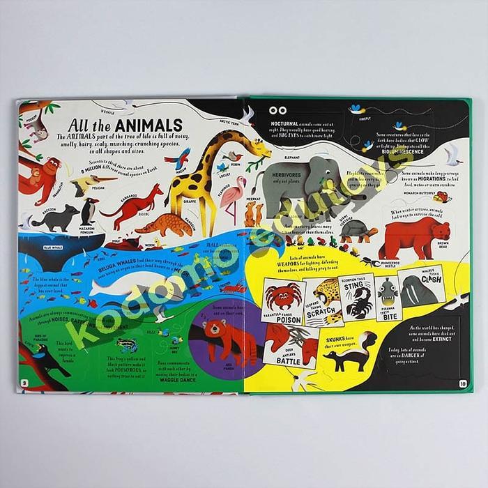 USBORNE LIFT-THE-FLAP BIOLOGY (USBORNE STEM)