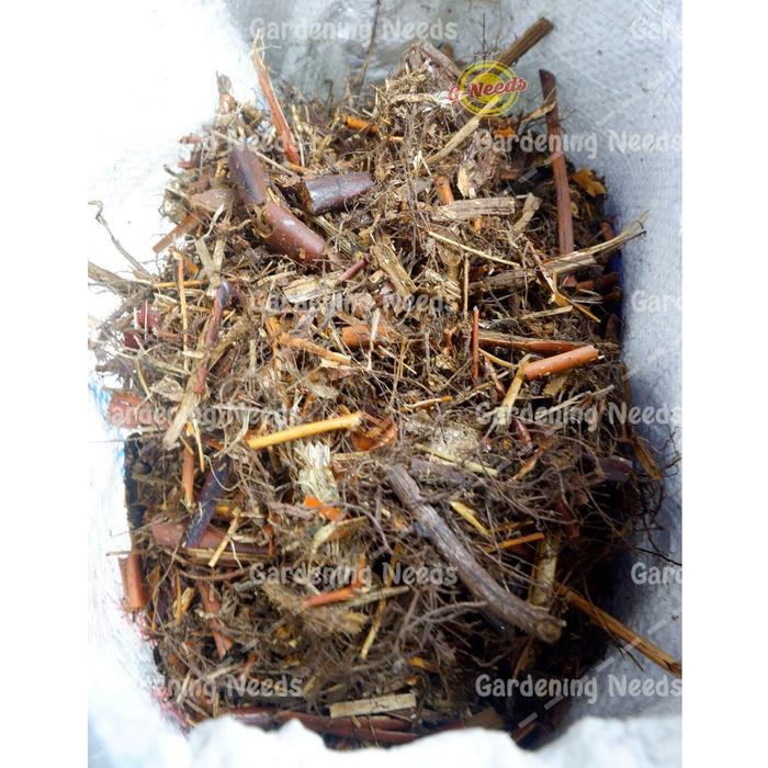 Media Tanam Andam Daun Andam Media Tanam Aglonema Karungan