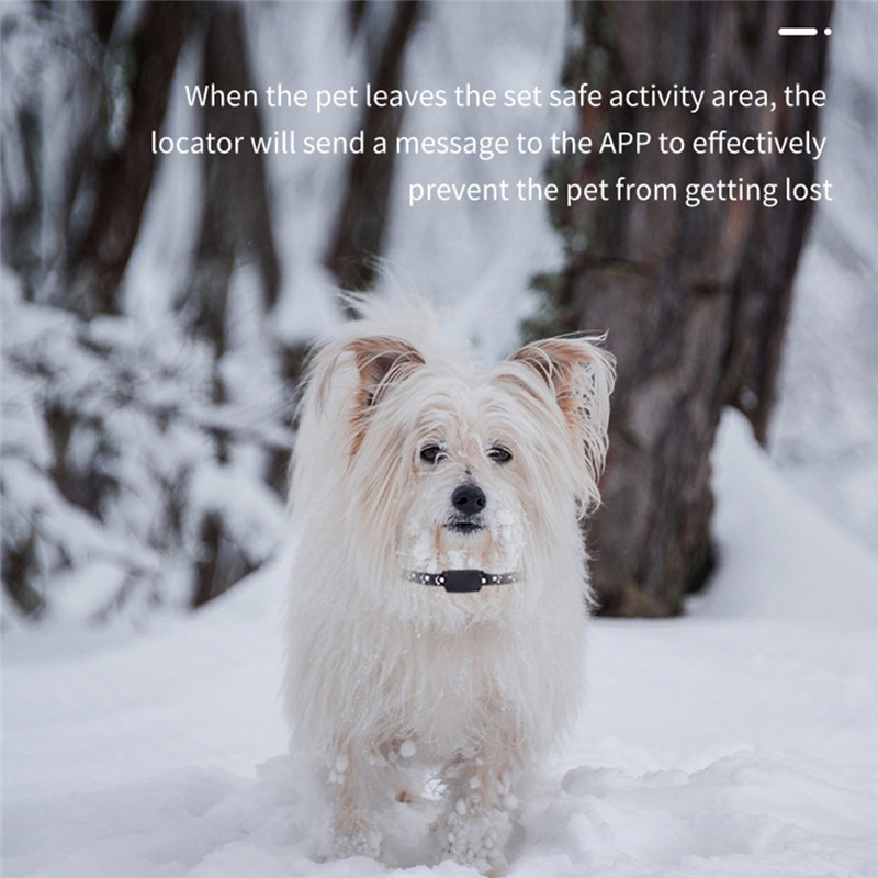 Y19A Mini Tracker Waterproof Dog GPS Collar Dog Collar Cats Locator Smart Trackeing Alarm Device