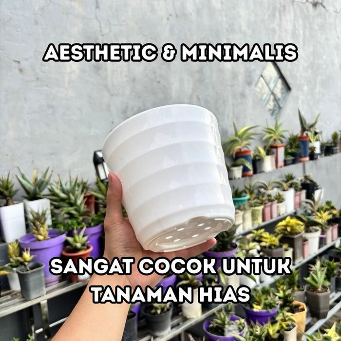 POT PLASTIK MADO Lovenia WARNA PUTIH, Terdapat 6 Ukuran Kecil hingga Besar. Cocok Untuk Tanaman Hias