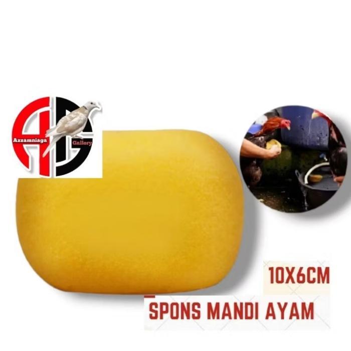 Spon Ayam Bangkok Spon Mandi Ayam