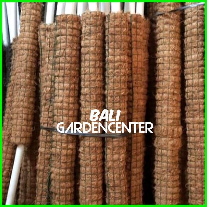 Turus Penyangga Tanaman Rambat - Turus Rambatan Tanaman