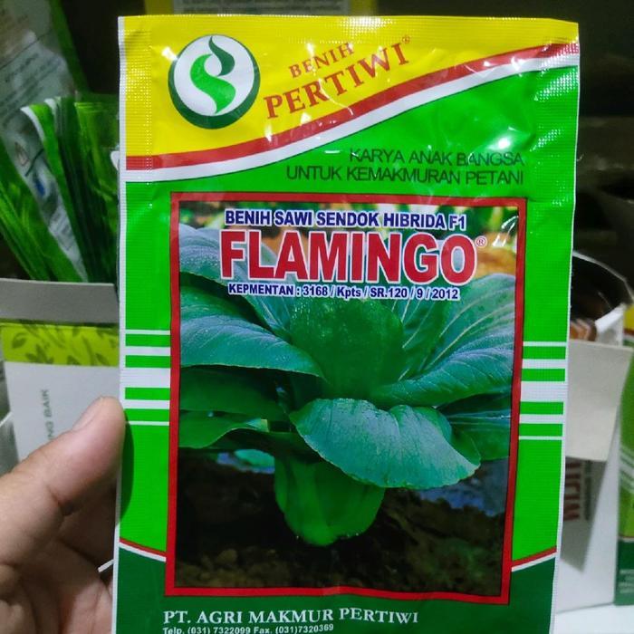 Benih sawi sendok FLAMINGO F1 10 gram sawi daging pakcoy hibrida dari benih pertiwi sawi flamingo