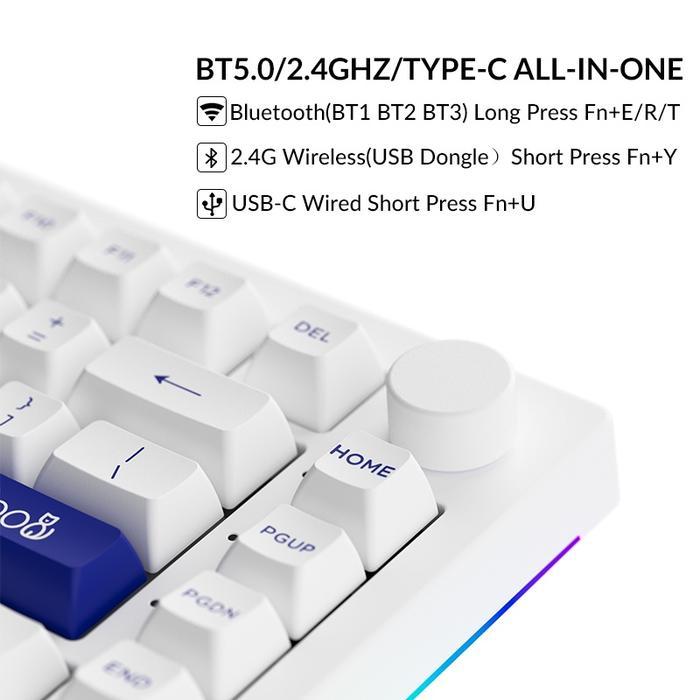 Akko 5075B Plus V2 Blue On White 75% Hot Swappable Rgb Customization