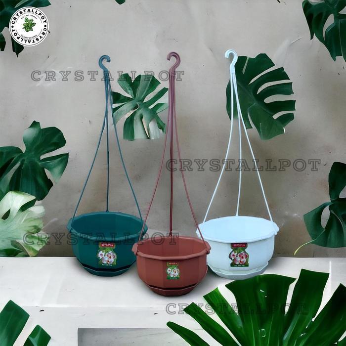 Top Pot Bunga Tanaman Gantung Gardenia - GARDENIA