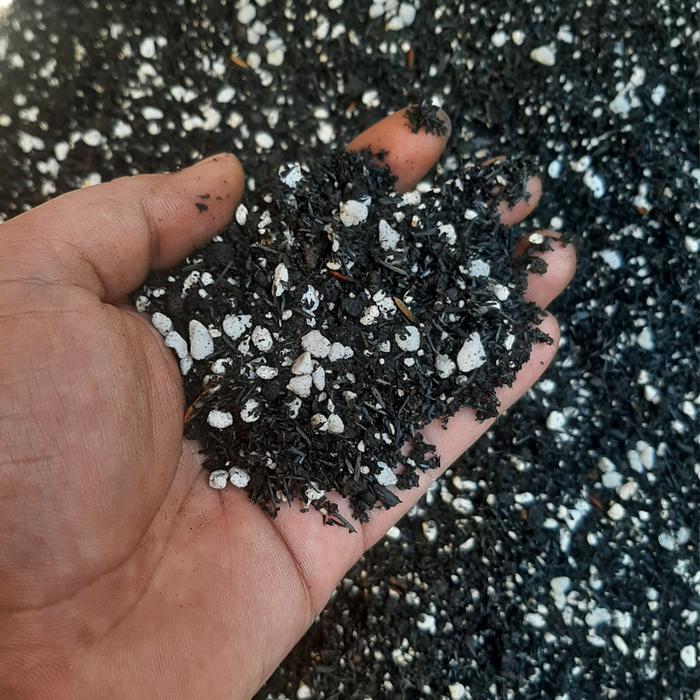 "New" Media Tanam Kaktus dan Sukulen (Geek Farmer)