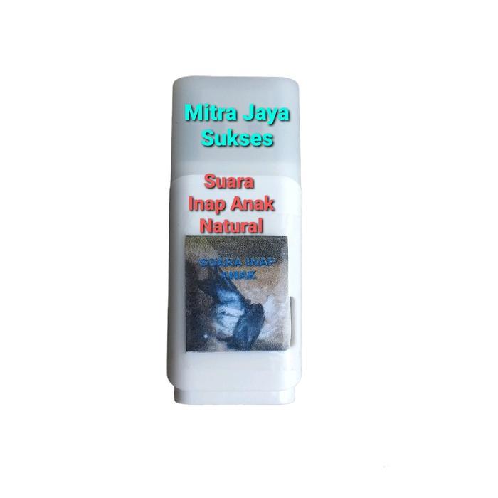 Suara Inap Anak Burung Walet Natural